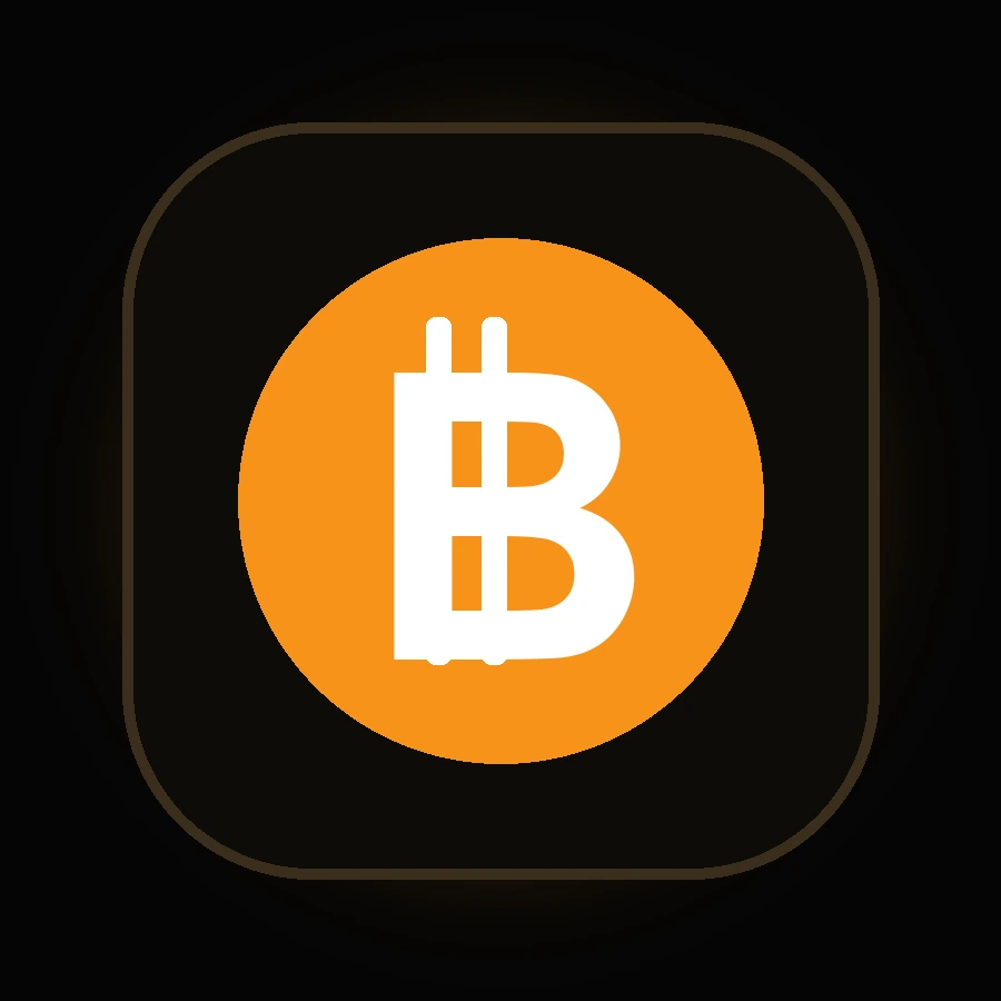 Bitcoin logo visual for the crypto trading chapter